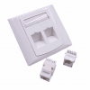APKR Dual 2ports FACEPLATEc