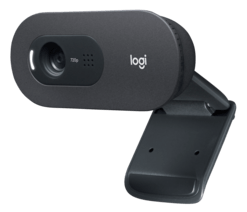 Logitech C505 HD Webcam