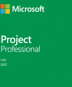Project Pro 2021 Win All Lng PK Lic Online DwnLd C2R NR