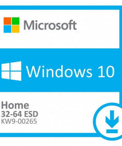 WIN HOME 10 32 bit64 bit All Lng PK Lic Online DwnLd NR 1
