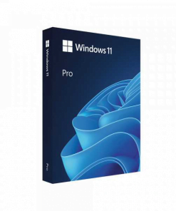 Win 11 Pro 64Bit Eng Intl 1pk DSP OEI DVD 1