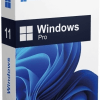 Win 11 Pro 64Bit Eng Intl 1pk DSP OEI DVD