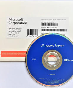 Windows Svr Std 2019 64Bit English 1pk DSP OEI DVD 16 Core