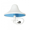 MUSHROOM IXD 3NK 80270b