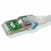 Siemon CAT6 Patch Cord