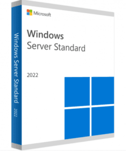 Windows Server 2022 Standard Edition