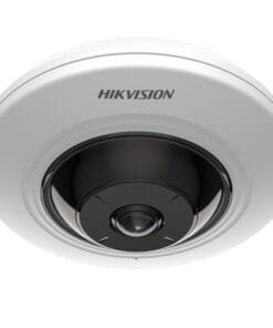 Hikvision DS 2CD2955G0 IS(U)
