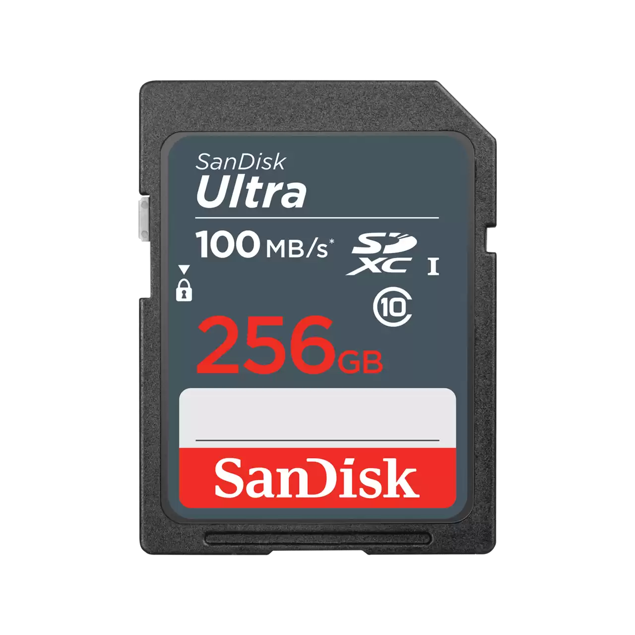SanDisk Ultra® 256GB card