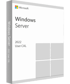 Windows Server 2022 1 User CAL